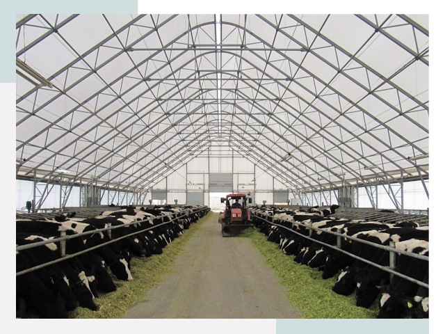 Тентовые коровники в Лангепасе от 606 руб. - Надежно и доступно