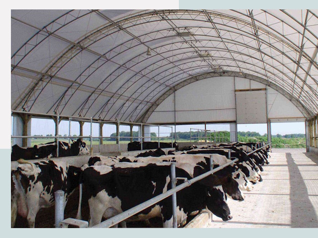 Тентовые коровники в Лангепасе